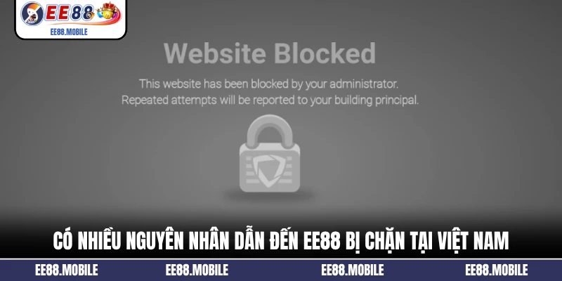 Có nhiều nguyên nhân dẫn đến EE88 bị chặn tại Việt Nam