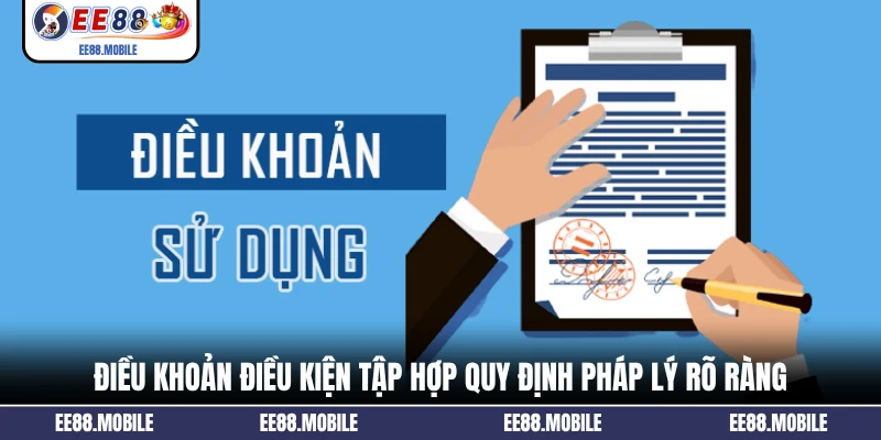 Điều khoản điều kiện tập hợp quy định pháp lý rõ ràng
